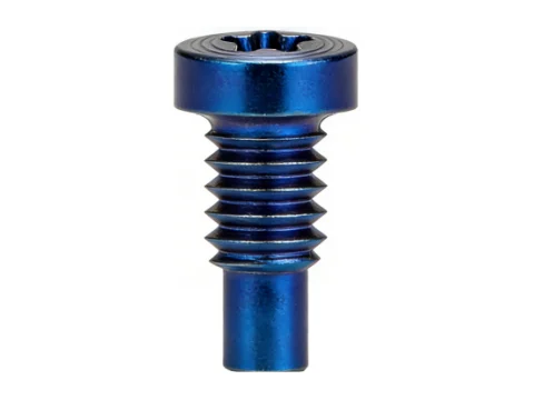 Torx Cvlinder Head PVD CD Texture Screws