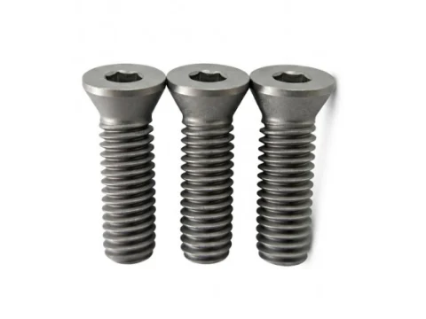 TORX® T25 Tool Screw | M6×20 (1.0 Pitch