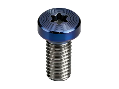 Premium Torx Pan Head Screws with CD Pattern & PVD Finis